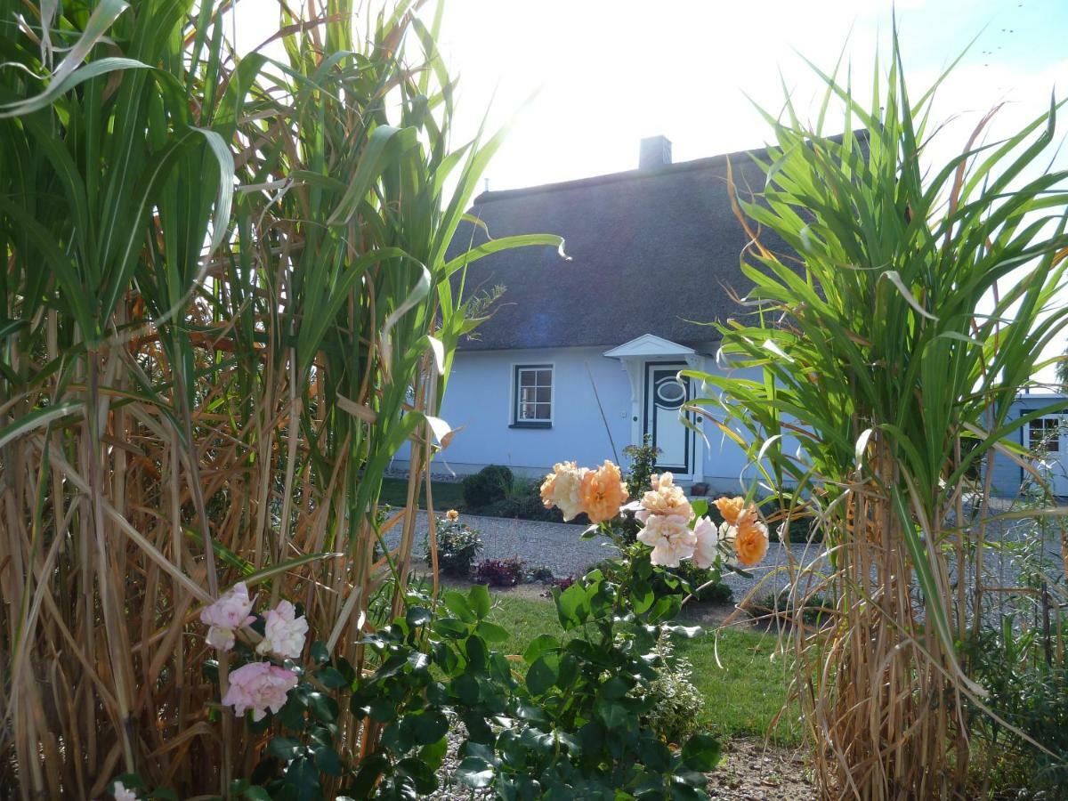 Ferienhaeuser Salzhaff-Romantik Tessmannsdorf Extérieur photo